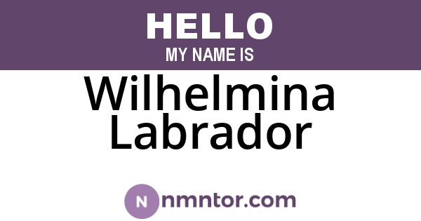 Wilhelmina Labrador