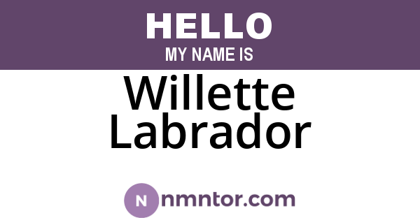 Willette Labrador