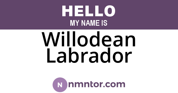 Willodean Labrador