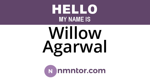 Willow Agarwal