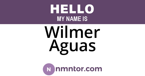Wilmer Aguas