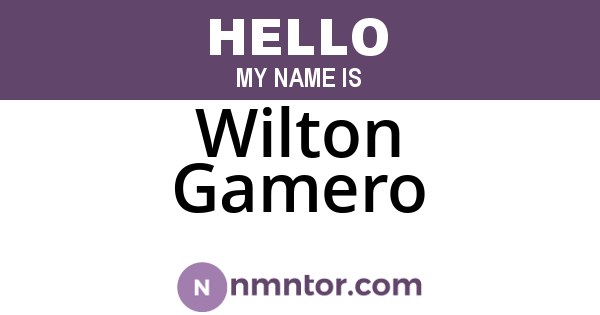 Wilton Gamero