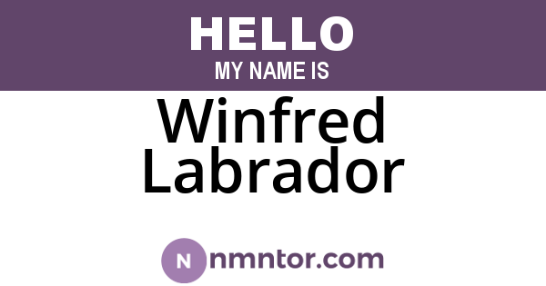 Winfred Labrador