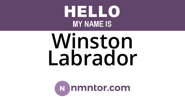 Winston Labrador