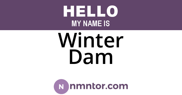 Winter Dam