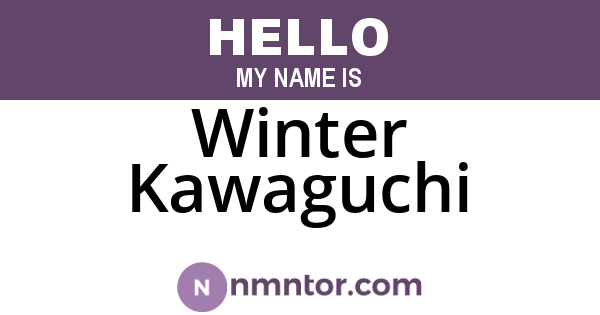 Winter Kawaguchi