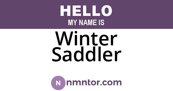 Winter Saddler