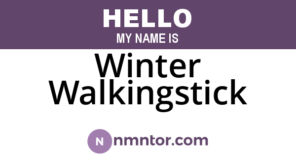 Winter Walkingstick