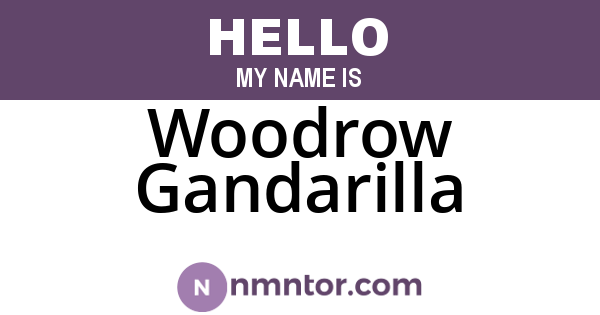 Woodrow Gandarilla