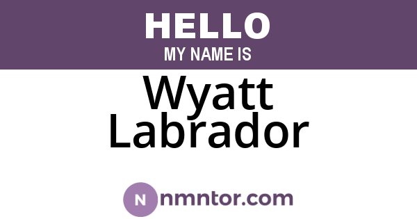 Wyatt Labrador