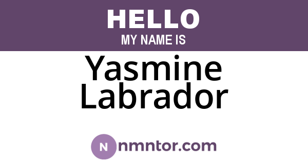 Yasmine Labrador