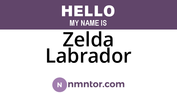 Zelda Labrador